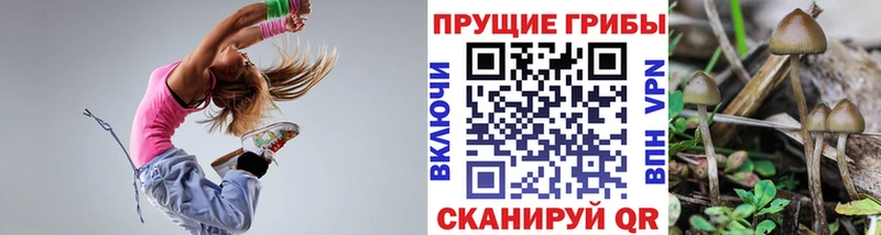 Галлюциногенные грибы Cubensis  Ленинградская 